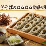 へぎそばのぬるぬる食感の秘密！新潟の布海苔つなぎが生み出す特徴とは